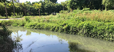 沿用城市思維？農村黑臭水體治理“行不通”！